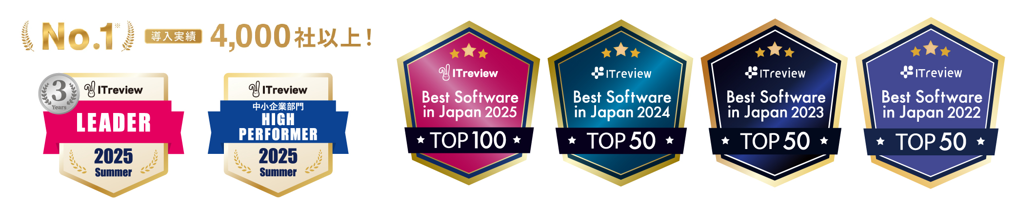 form_itreview